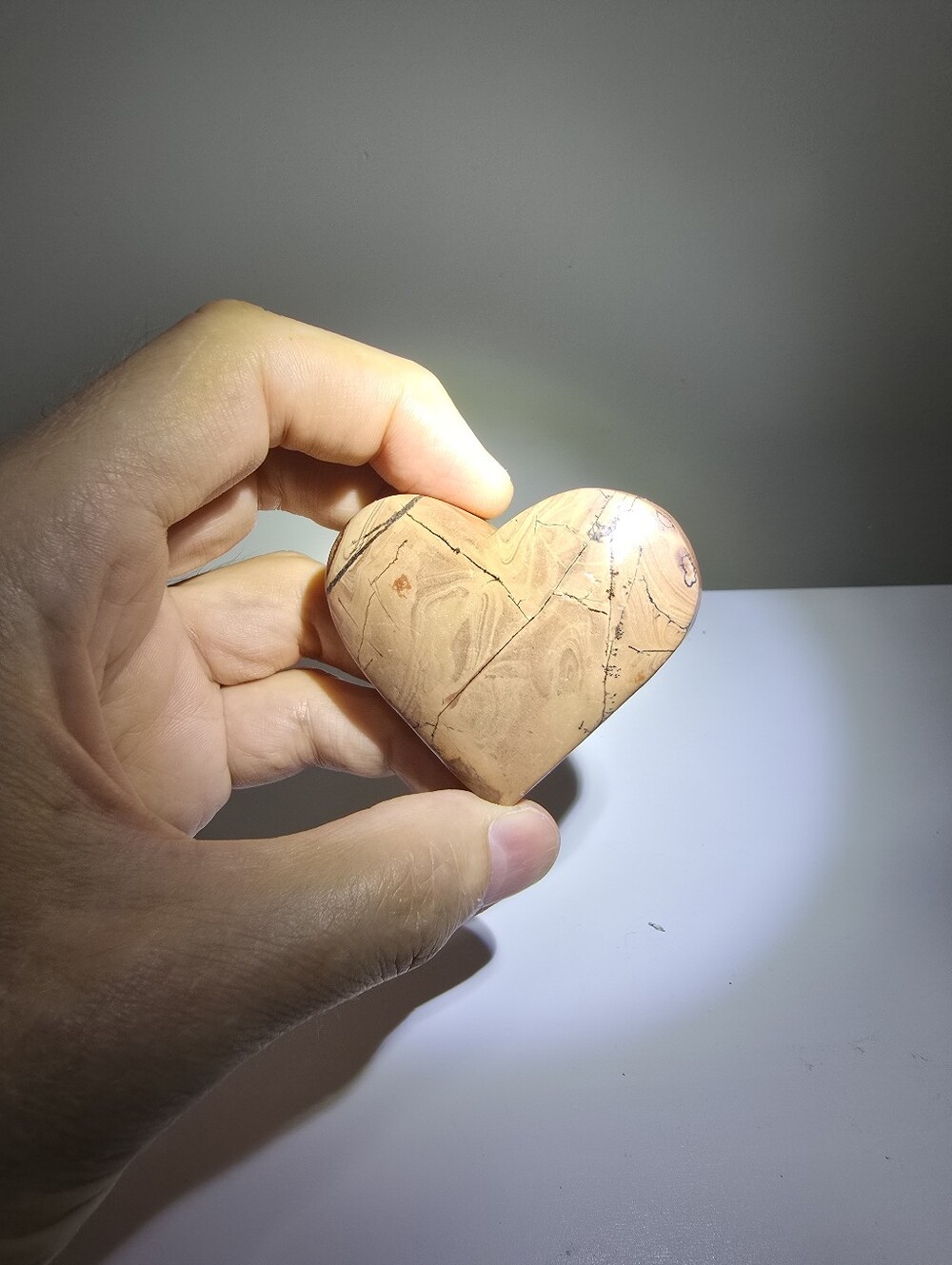 Picture Jasper Crystal Heart #F